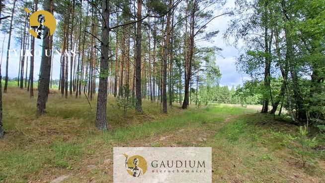 DUŻA DZIAŁKA ROLNA Z LASEM - MĘCIKAŁ gm. Brusy