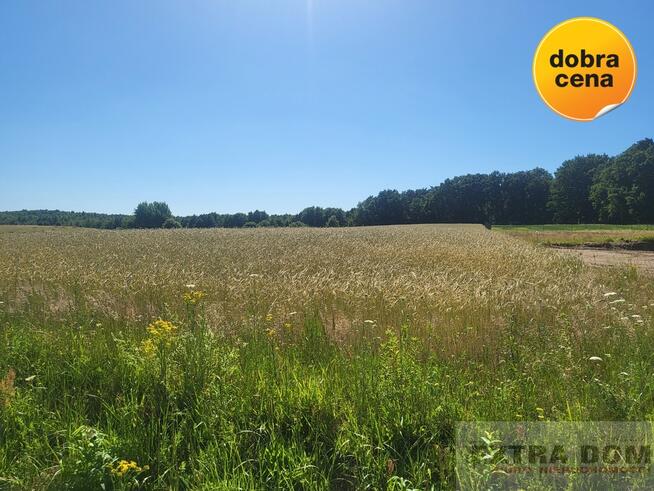 Działka Goleniów