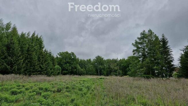 Malownicza działka 2 790 m² ze stawem przy lesie