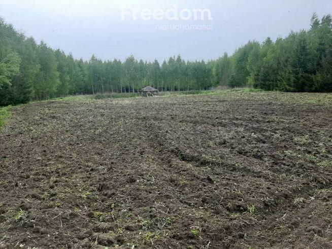 Malownicze działki 8324m² ze stawem otoczona lasem