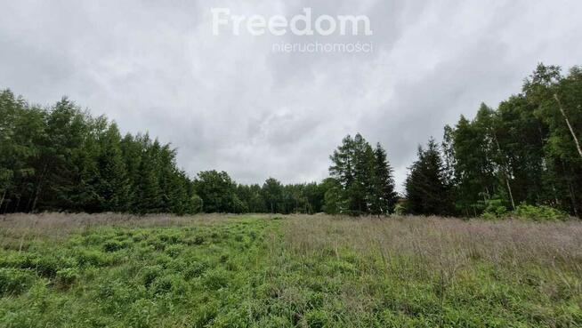 Malownicze działki 8324m² ze stawem otoczona lasem