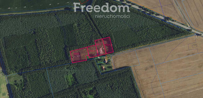 Malownicze działki 8324m² ze stawem otoczona lasem