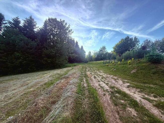 Działka w Bieszczadach - Wołkowyja!