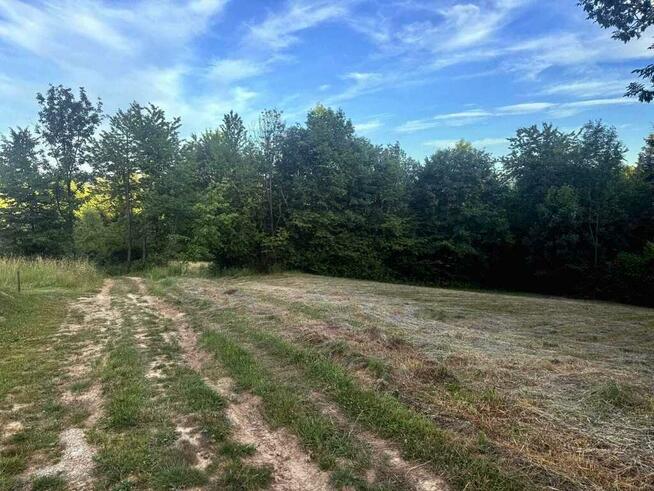 Działka w Bieszczadach - Wołkowyja!