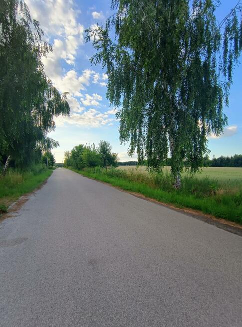 Działka budowlana Niesułków-Kolonia gm. Stryków
