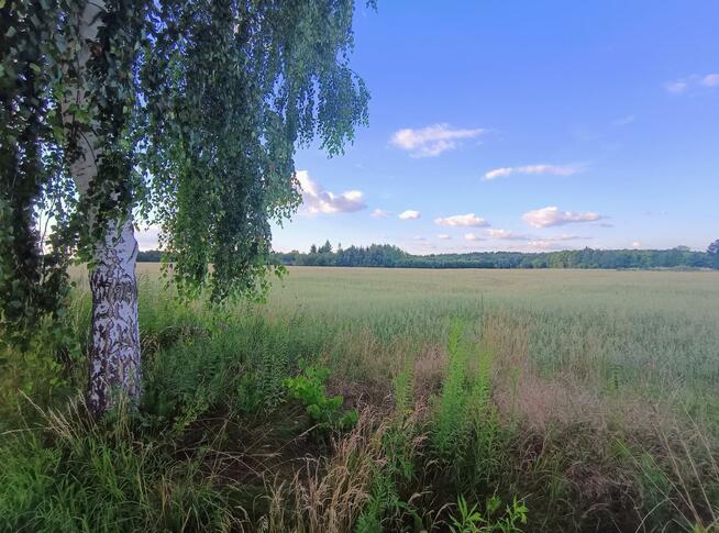 Działka budowlana Niesułków-Kolonia gm. Stryków