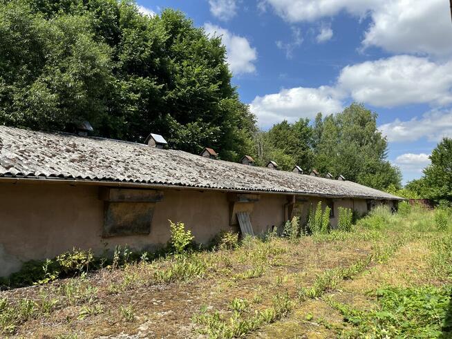 Teren z halami po kurnikach