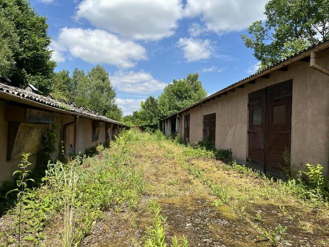 Teren z halami po kurnikach