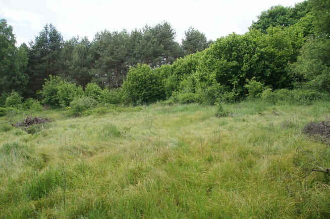 W otoczeniu lasu z własnym stawem - idealne miejsce na dom