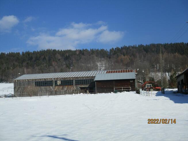 Do wynajęcia - Hala / Magazyn