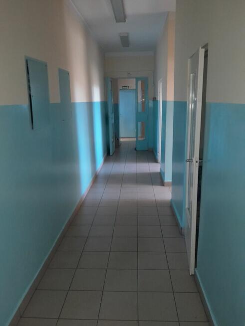 Do wynajęcia lokale użytkowe