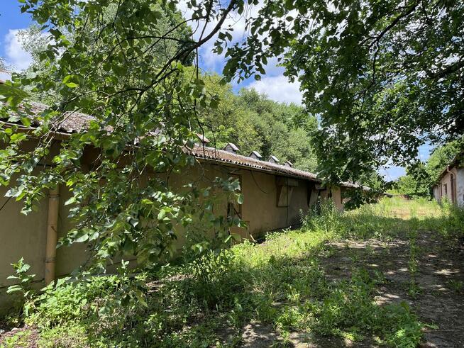 Teren z halami po kurnikach