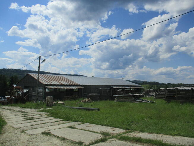 Do wynajęcia - Hala / Magazyn