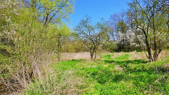 Działka budowlana Ciechów gm. Środa Śląska