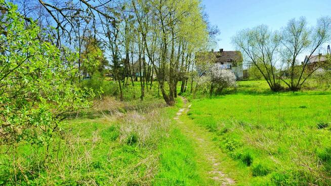 Działka budowlana Ciechów gm. Środa Śląska