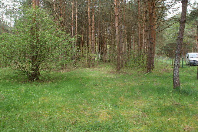 Sprzedam działkę rekreacyjną 29a w Czerwonej Woli, Sieniawa