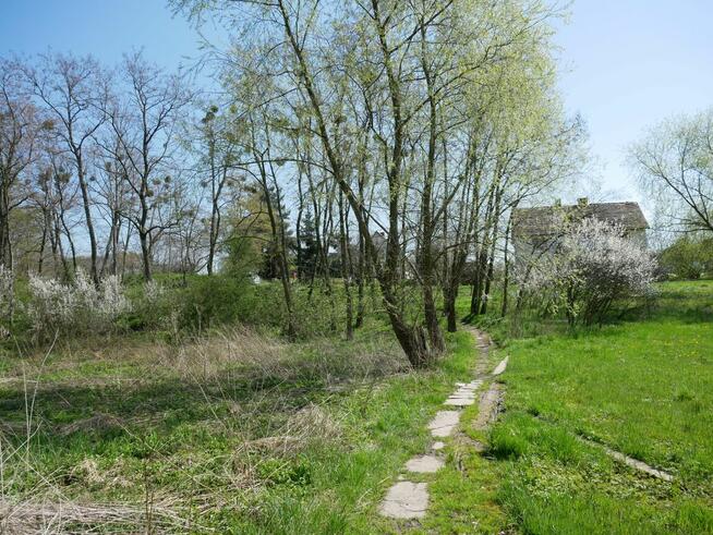 Działka budowlana Ciechów gm. Środa Śląska