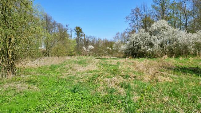 Działka budowlana Ciechów gm. Środa Śląska