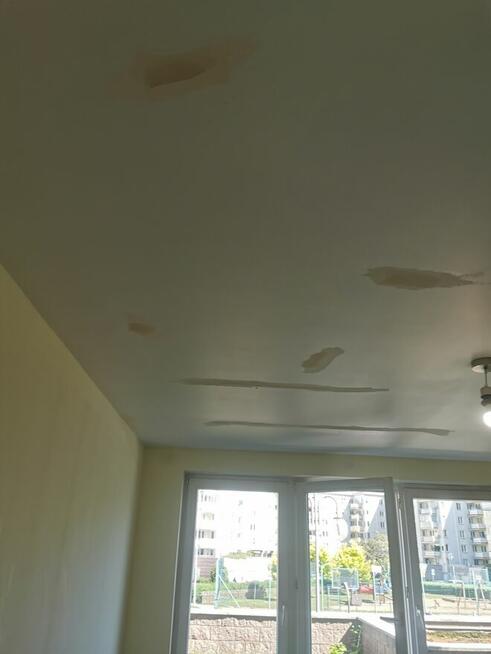 Malarz szpachlarz z wieloletnim doświadczeniem szuka pracy