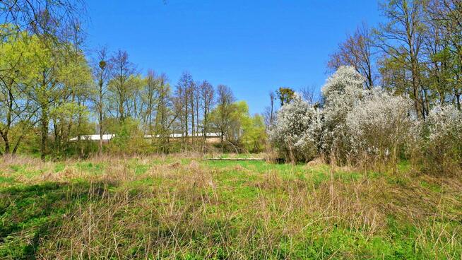 Działka budowlana Ciechów gm. Środa Śląska