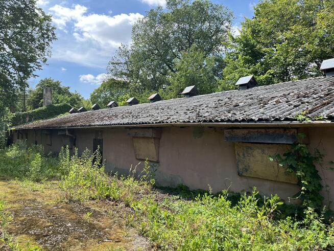 Teren z halami po kurnikach