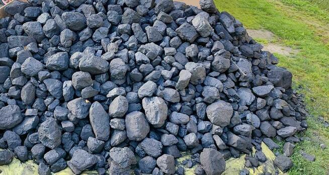 Różne rodzaje Polskiego węgla i nie tylko