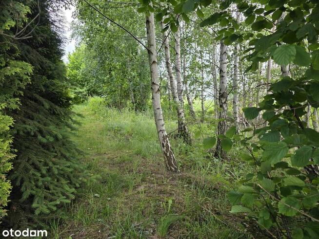 Działka | 1135m2 | Gąski ul. Leśna