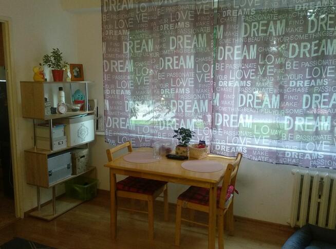 KAWALERKA – TORUŃ NAJEM OKAZJONALNY