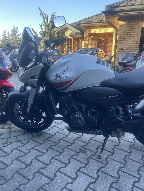 Sprzedam Honda Hornet cb600 2010rok