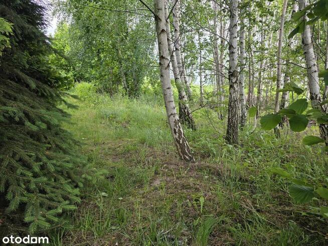 Działka | 1135m2 | Gąski ul. Leśna