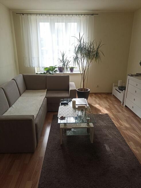 Mieszkanie Wolne od 01.08.2025