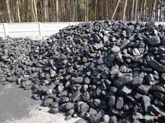 Węgiel kamienny w kilku rodzajach