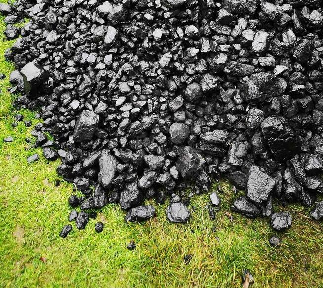 Węgiel w kilku rodzajach