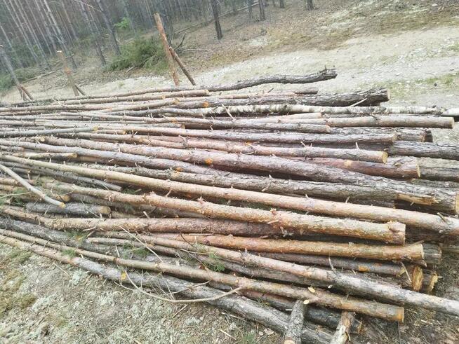 drewno opalowe sosna M2