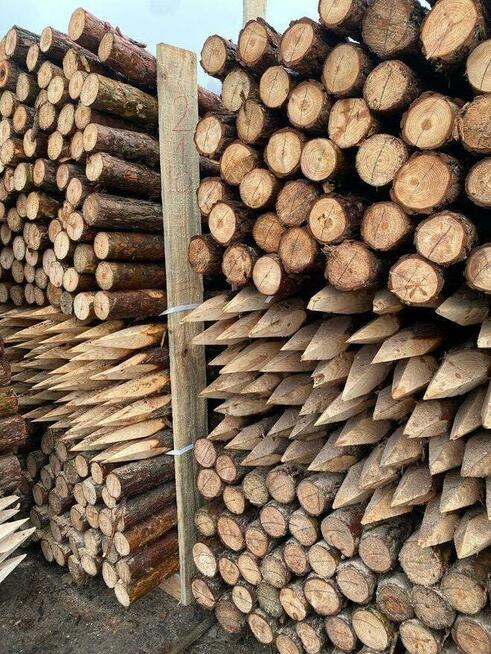 PALIKI MELIORACYJNE faszyna i palisada, kołki, pale