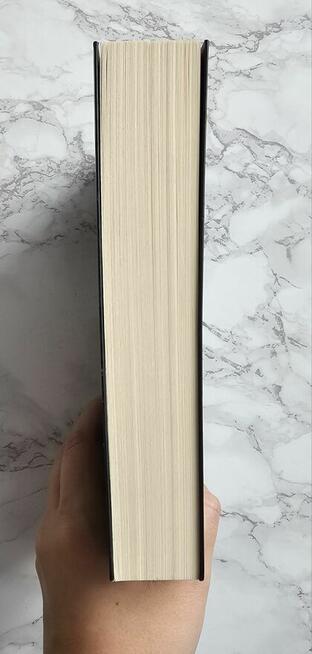 Książka Obcy Chłopiec Alex Dahl