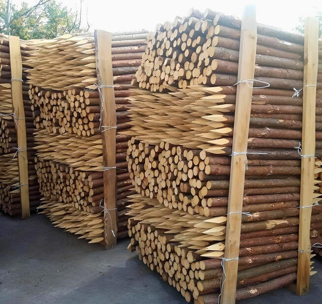 PALIKI MELIORACYJNE faszyna i palisada, kołki, pale