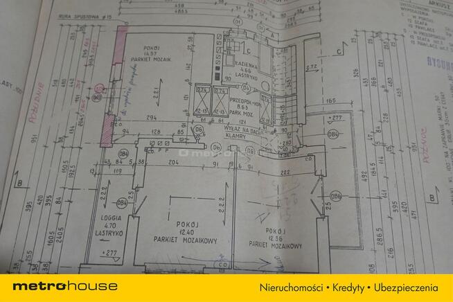 Dom z dużą działką.