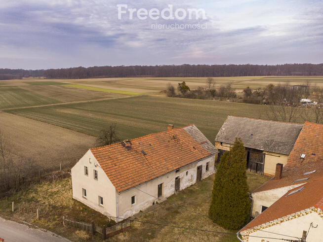 Nieruchomość z potencjałem – Grabina