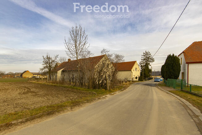 Nieruchomość z potencjałem – Grabina
