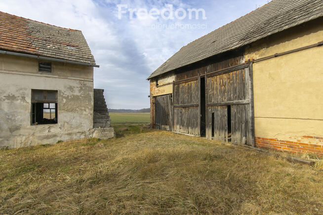 Nieruchomość z potencjałem – Grabina