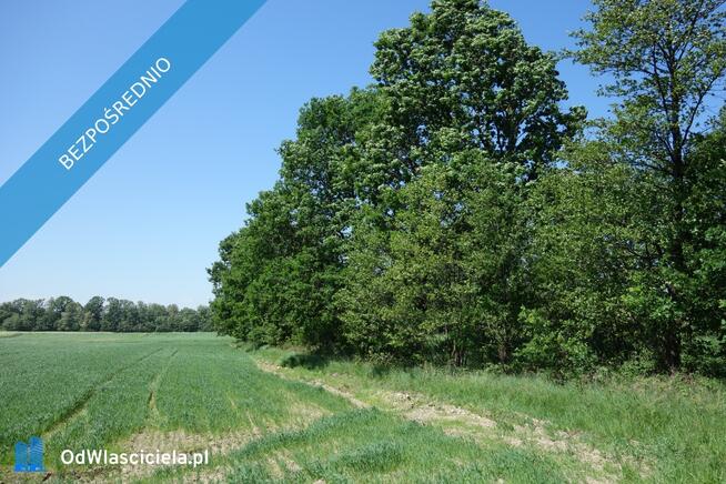 Skoczów Ochaby 62ar rolna pod lasem pod rekreacje altanke