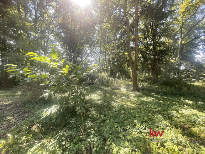 Dom Sielinko gm. Opalenica, Parkowa