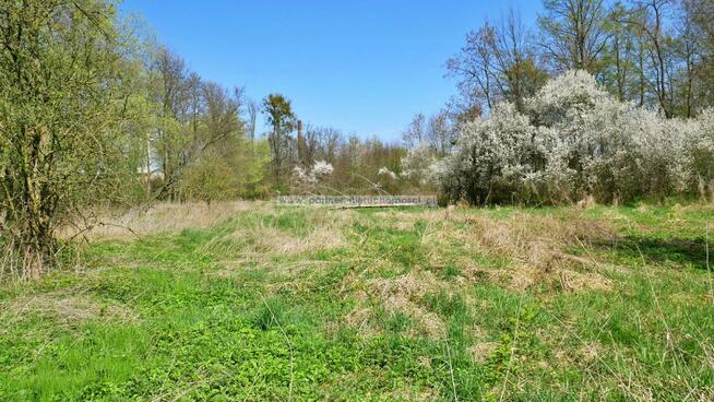 Działka budowlana Ciechów gm. Środa Śląska