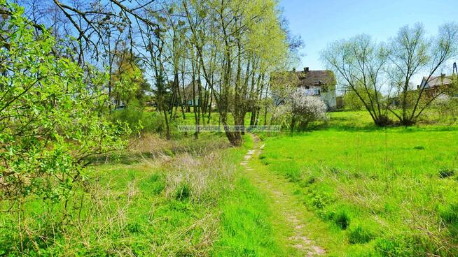 Działka budowlana Ciechów gm. Środa Śląska