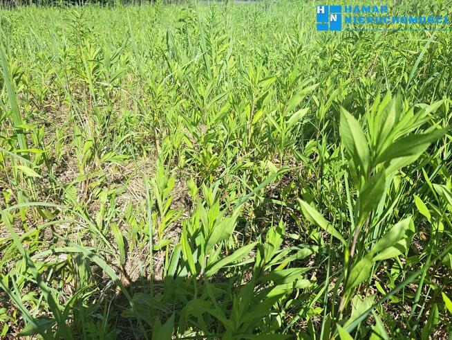 działka 950m2 w Falentach Nowych