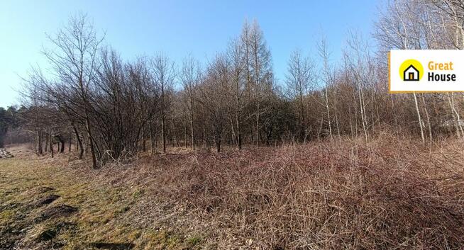 Dom Niemojowice gm. Żarnów,