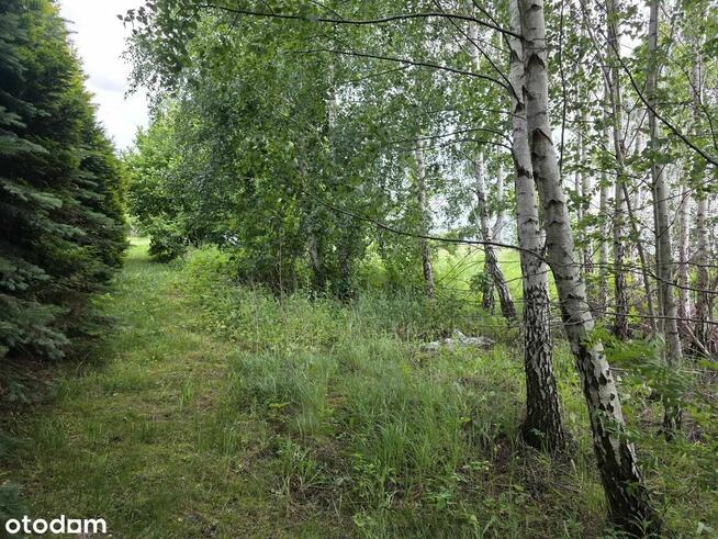 Działka | 1135m2 | Gąski ul. Leśna