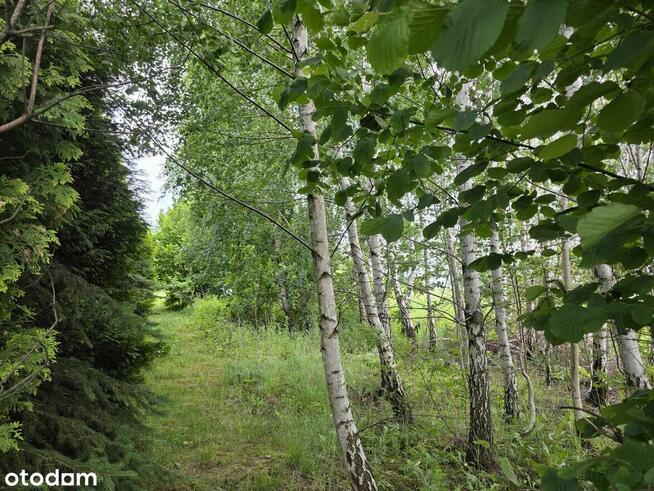 Działka | 1135m2 | Gąski ul. Leśna