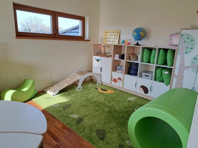 Dyrektor ds. pedagogicznych